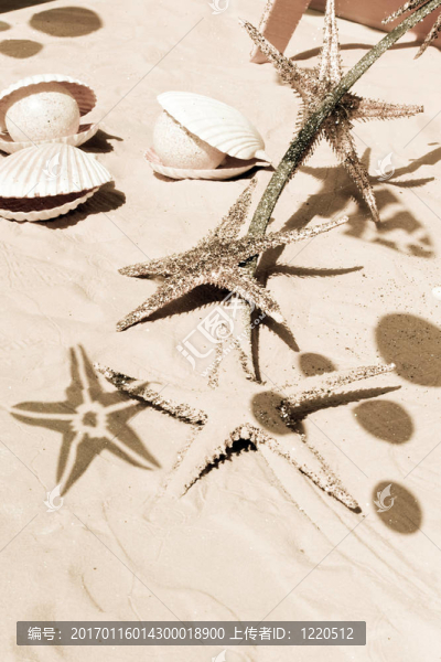 海洋生命-匯圖網(wǎng) www.fosd68.com 海洋生命