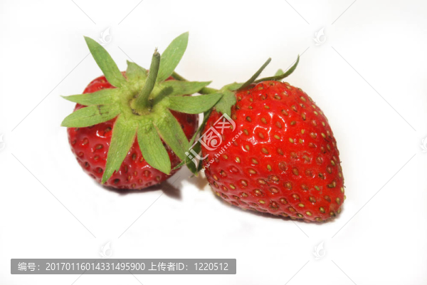 草莓-匯圖網(wǎng) www.fosd68.com 草莓