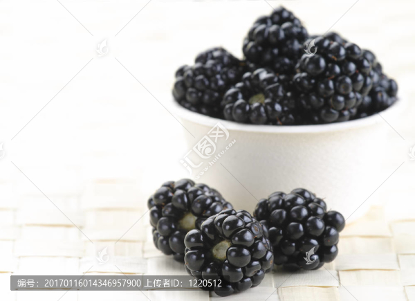 新鮮的藍(lán)莓-匯圖網(wǎng) www.fosd68.com 新鮮的藍(lán)莓