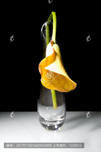 花卉燈-匯圖網(wǎng) www.fosd68.com 花卉燈