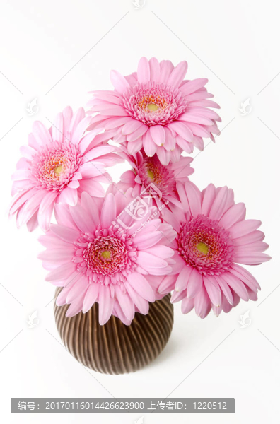 花在花瓶