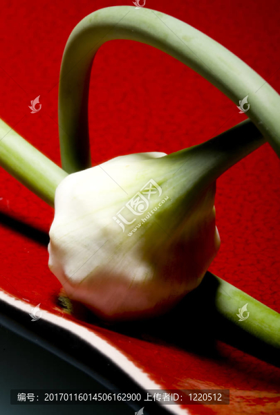 藝術(shù)的大蒜