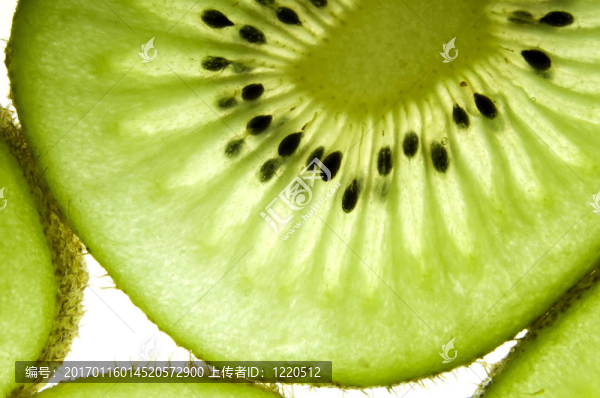 獼猴桃的背景