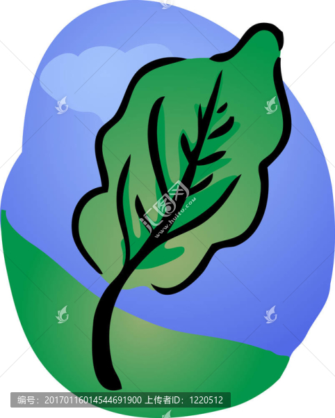 夏天的樹