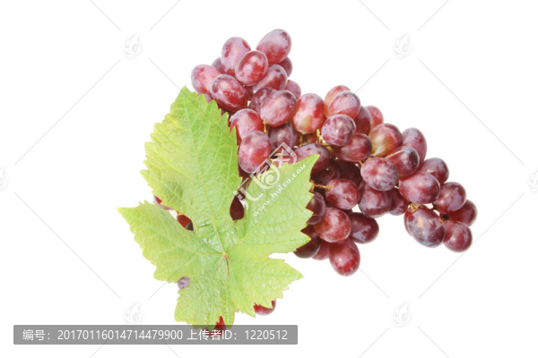 一堆葉的紅葡萄