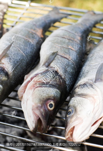 低音的-匯圖網(wǎng) www.fosd68.com 低音的