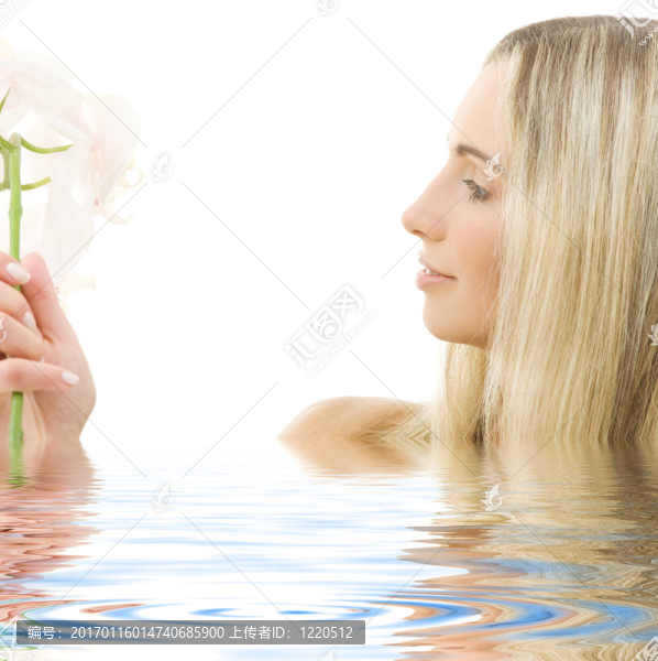 白蘭花