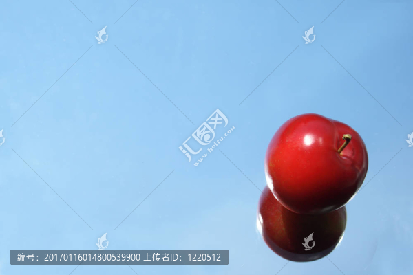 李鏡-匯圖網(wǎng) www.fosd68.com 李鏡