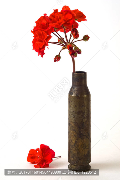 花案-匯圖網(wǎng) www.fosd68.com 花案