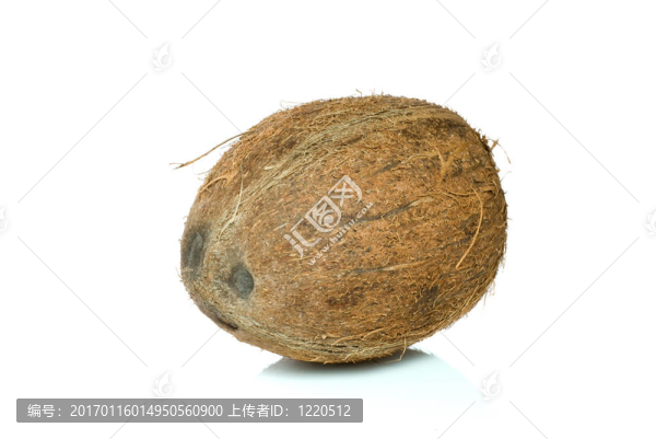 單一的椰子