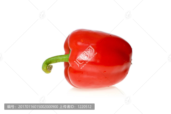 單紅甜辣椒