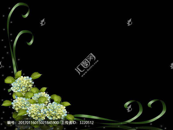 繡球花的邊界