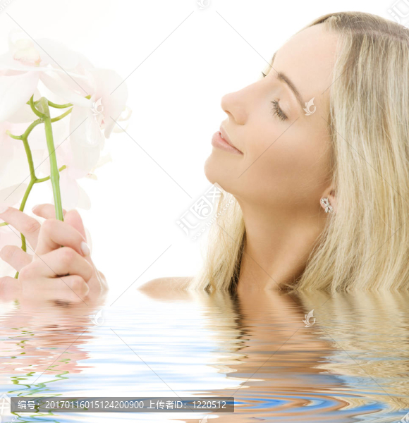 白蘭花