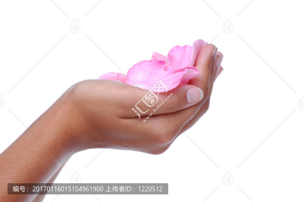 女人的手與羅絲