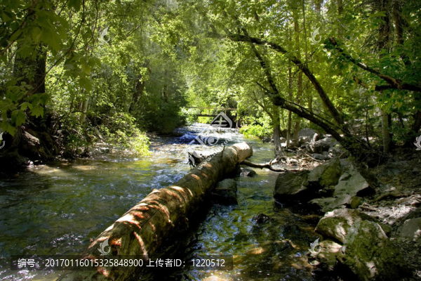 山流