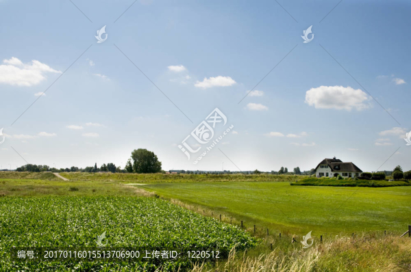 荷蘭景觀-匯圖網(wǎng) www.fosd68.com 荷蘭景觀
