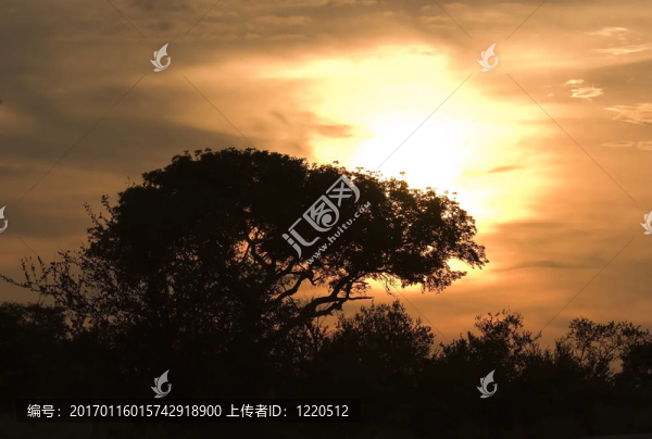 克魯格公園的日落