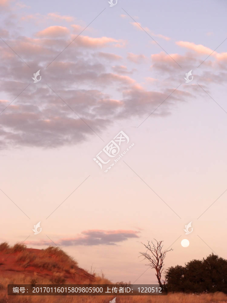 Moon在卡格拉格帝邊境公園