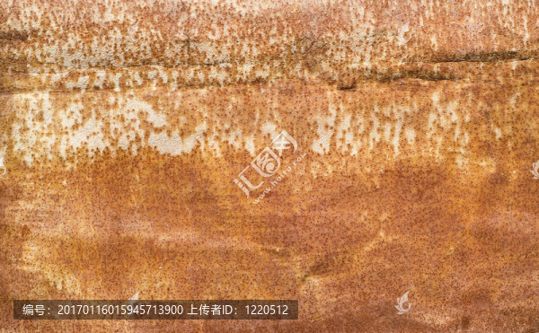 金屬腐蝕