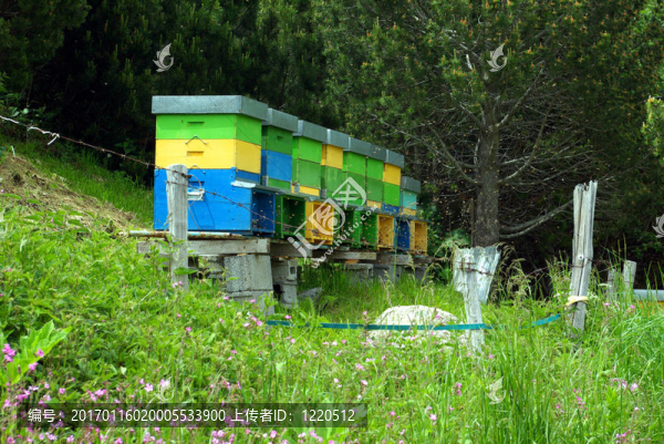 蜂箱-匯圖網(wǎng) www.fosd68.com 蜂箱