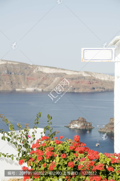 火山島海景花天竺葵希臘群島