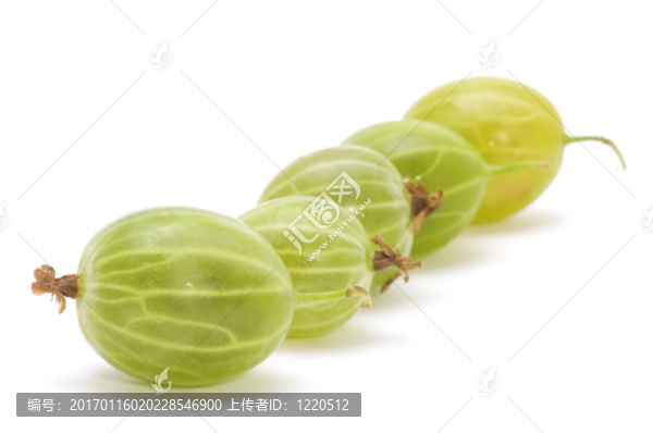 醋栗