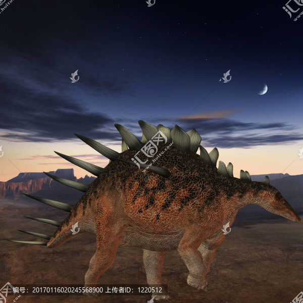 釘狀龍