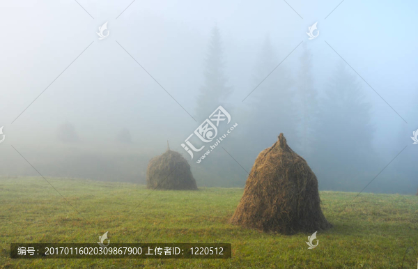 干草堆；霧蒙蒙的早晨