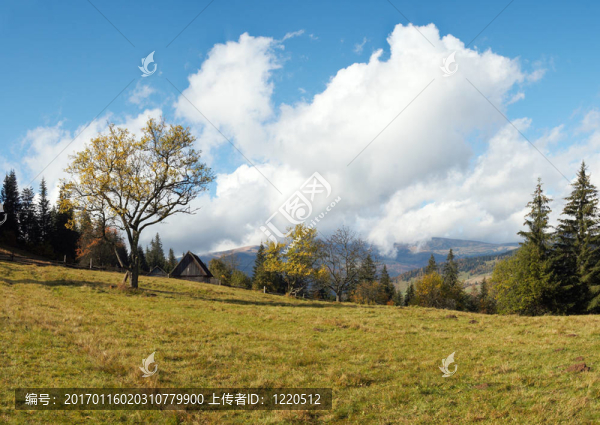 美麗的鄉(xiāng)村的早晨