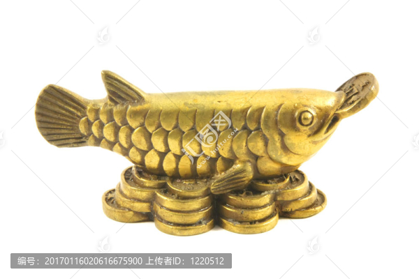 黃銅龍魚