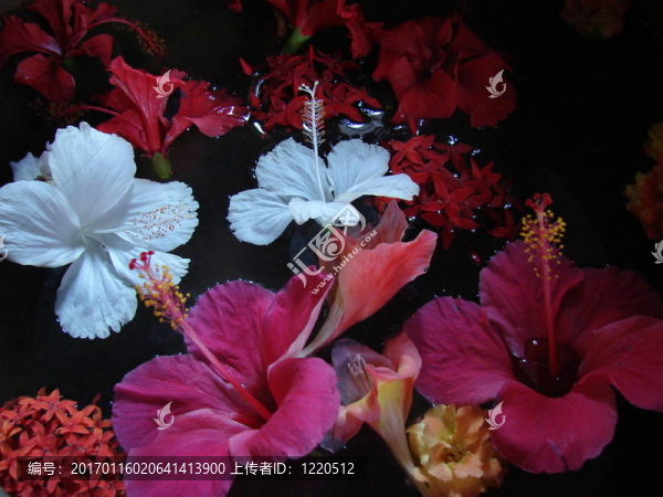 花在水