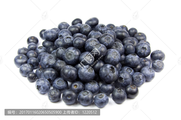 白漿果上的藍(lán)莓果實(shí)
