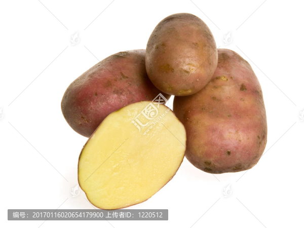 馬鈴薯離體-匯圖網(wǎng) www.fosd68.com 馬鈴薯離體