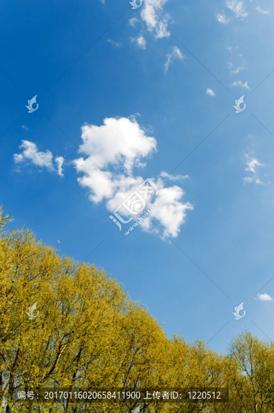 夏天的風景