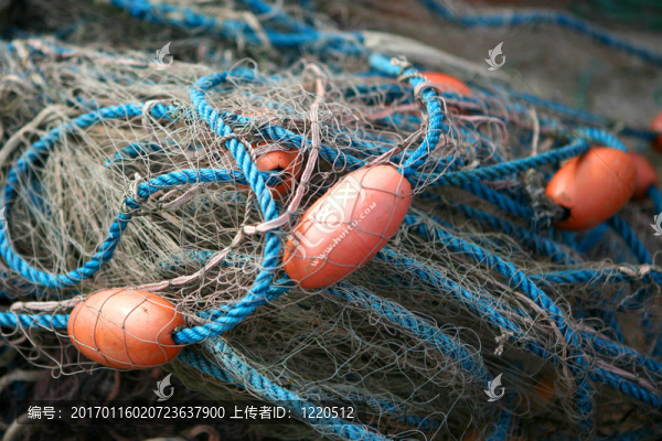 漁網(wǎng)