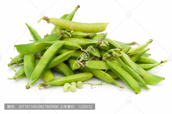 豌豆莢