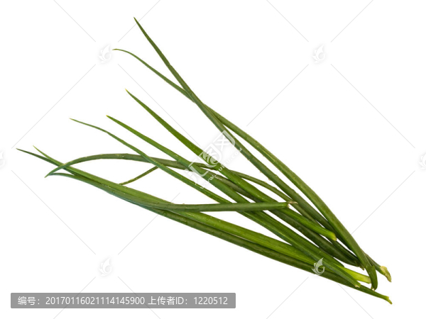 綠色的一堆洋蔥