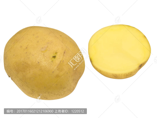 孤立的土豆