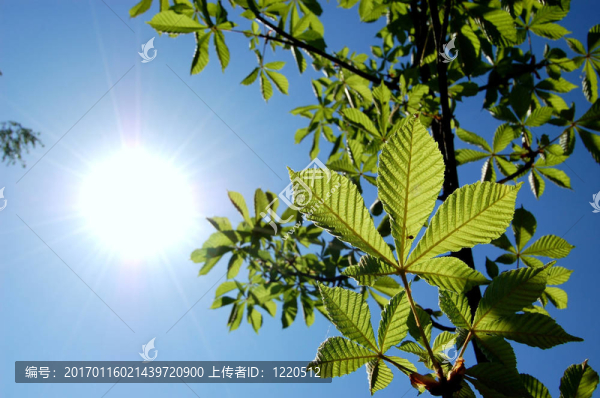 陽(yáng)光明媚的一天