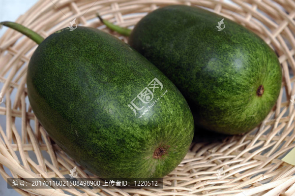 冬瓜