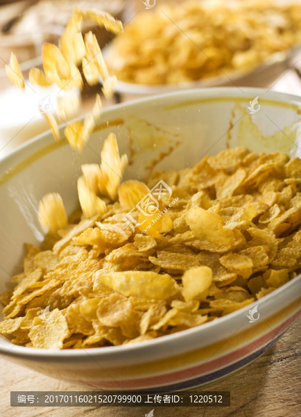 玉米-匯圖網(wǎng) www.fosd68.com 玉米