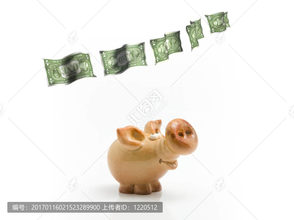 帶著飛美元的泥豬
