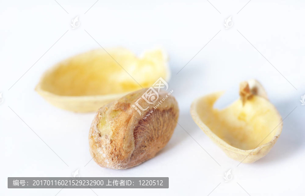 開心果
