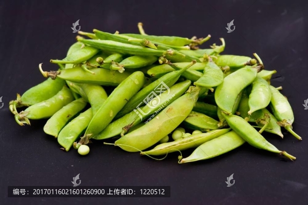 綠色的豌豆莢