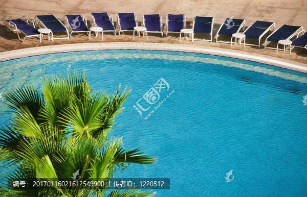 奇特的藍(lán)色游泳池