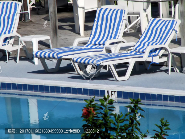 游泳池的椅子