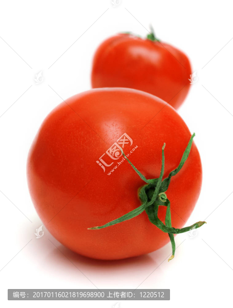 完美的番茄-匯圖網(wǎng) www.fosd68.com 完美的番茄