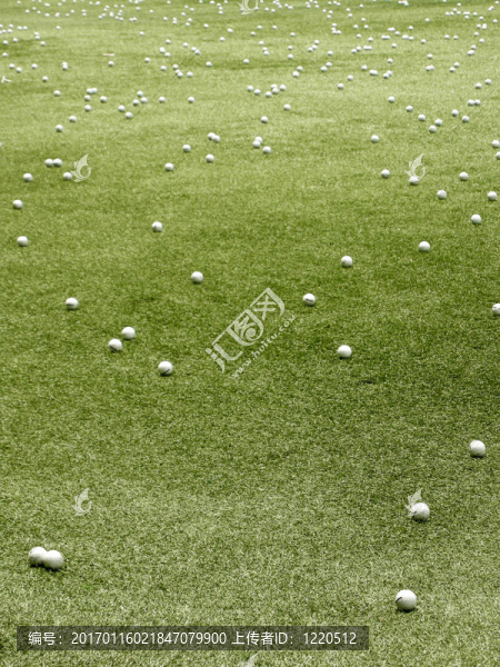 高爾夫球-匯圖網(wǎng) www.fosd68.com 高爾夫球