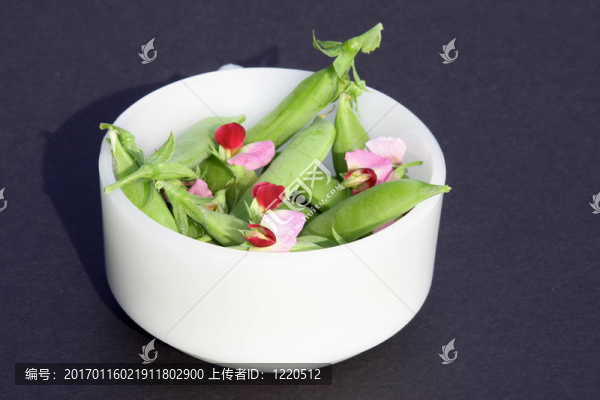 豌豆