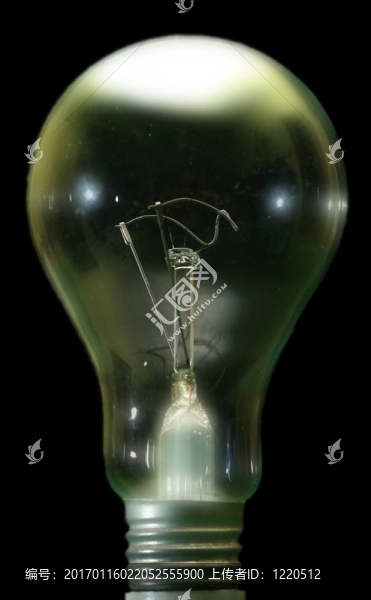 電燈泡